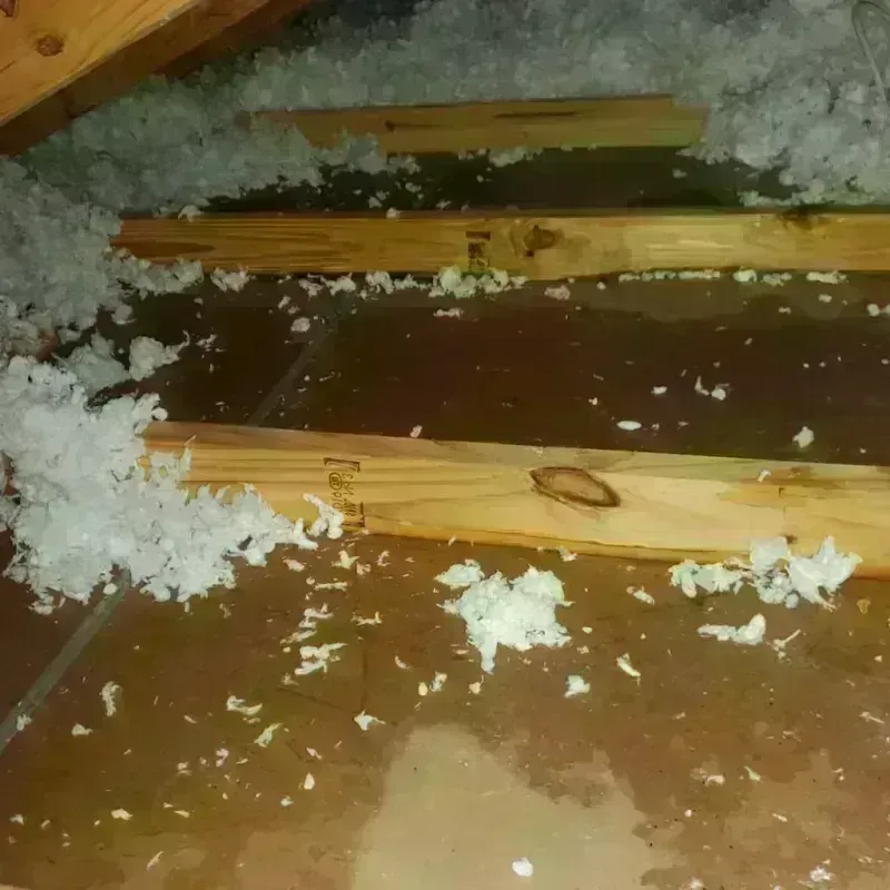 Attic Water Damage in Village of the Branch, NY